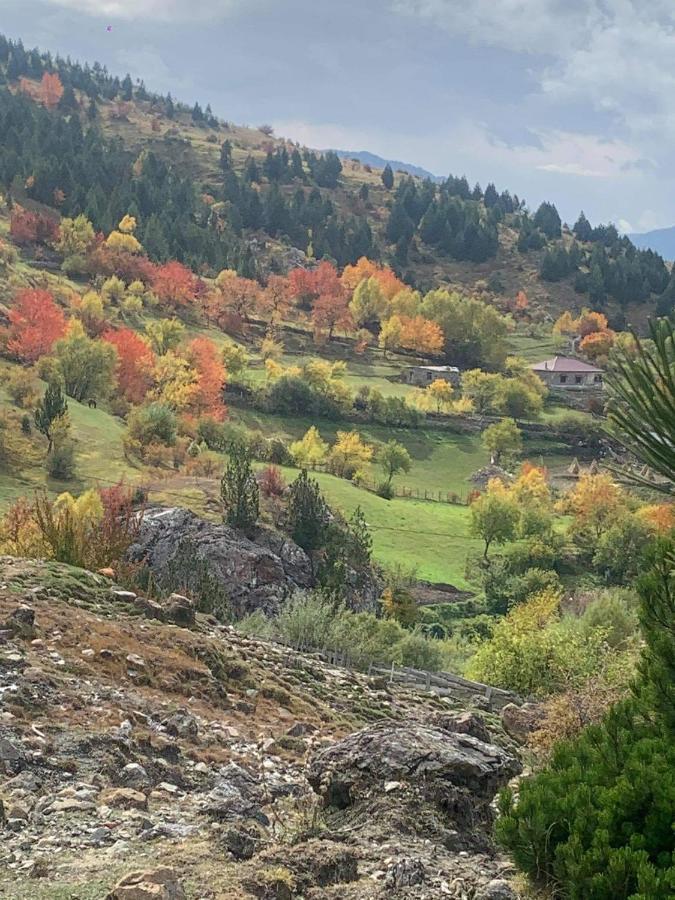 Hotel Grabova Grabove e Siperme Buitenkant foto