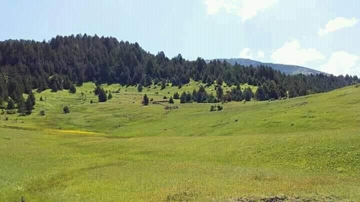 Hotel Grabova Grabove e Siperme Buitenkant foto